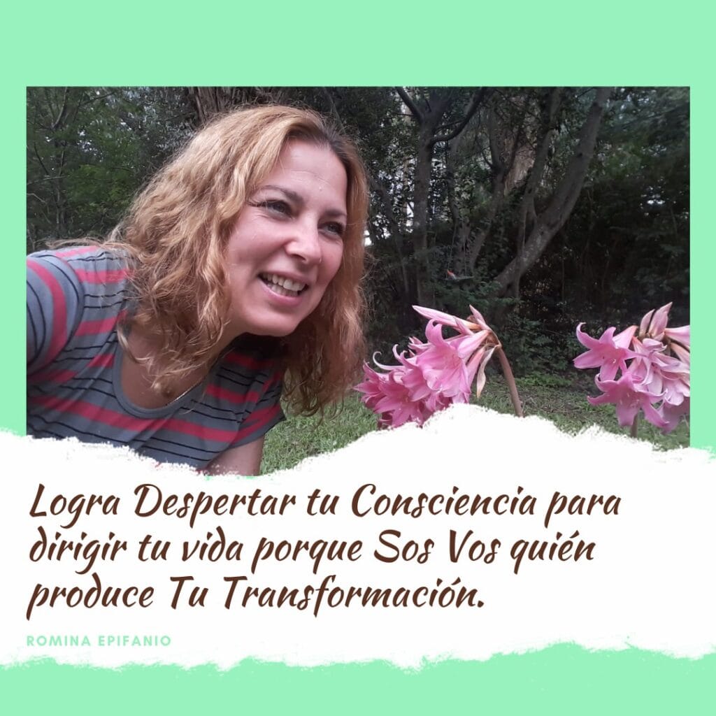 Programa Desarrollo Empresarial - rominaepifanio.com.ar